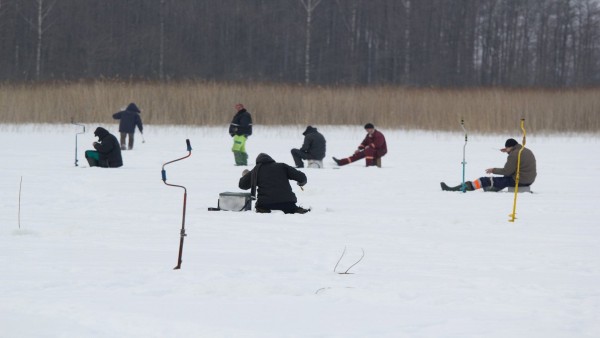 Playing on Thin Ice: The Emotional Whiplash of Winning and Losing