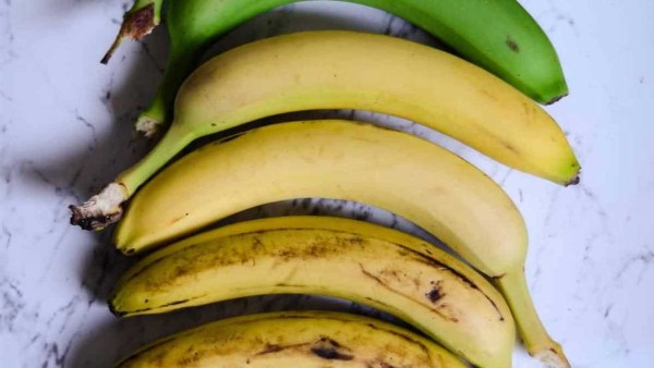 منها «عدم وضعه على المنضدة».. 5 طرق للحفاظ على الموز طازجا لأطول فترة ممكنة
