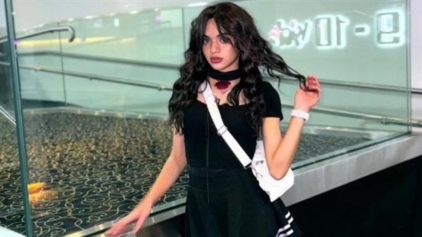 أبرزها ازدراء الأديان وتشويه صورة المرأة المصرية، قائمة الاتهامات الموجهة لـ سوزي الأردنية
