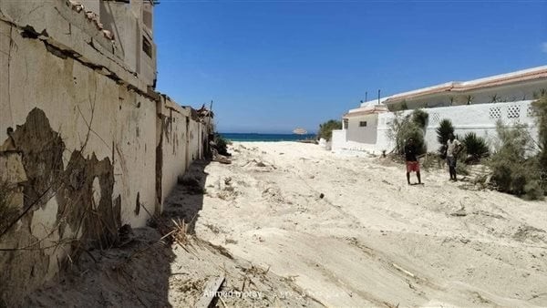 كلب ضال جديد يعقر 12 شخصا جديدا في بيانكي وارتفاع العدد إلى 21 حالة خلال 24 ساعة بالإسكندرية