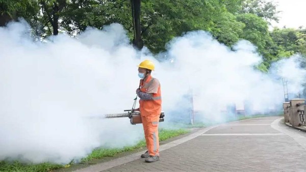 يسبب الحمى وتنقله حشرة مرتبطة بمصر.. قصة فيروس أصاب 7000 شخص في الصين مؤخرًا