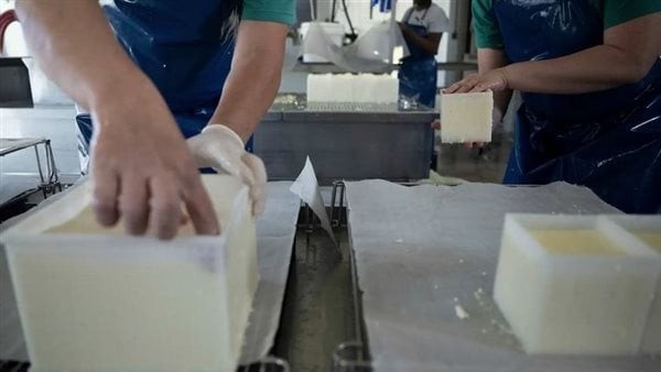 بعد أمريكا ووفيات فرنسا، كارثة الجبن الطري تنتقل إلى 4 دول أوروبية