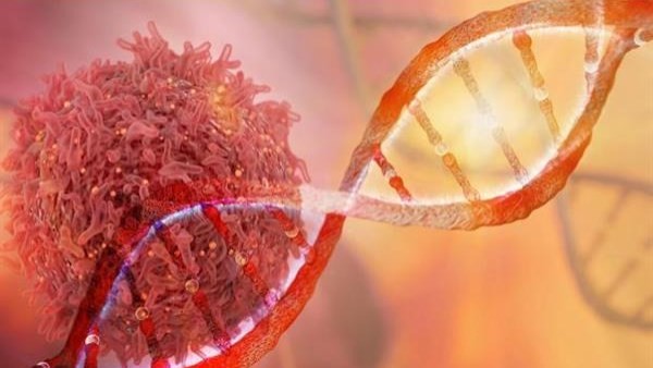 لازم يحموا نفسهم| تحذير.. هؤلاء الأكثر عرضة للإصابة بمرض السرطان