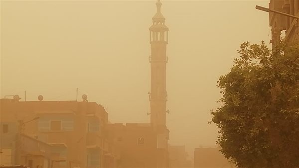 7 نصائح لمرضى حساسية الجيوب الأنفية لتخفيف تأثير العاصفة الترابية