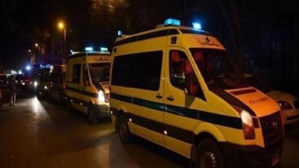 إصابة 12 عاملا في انقلاب ربع نقل بالمنيا الجديدة