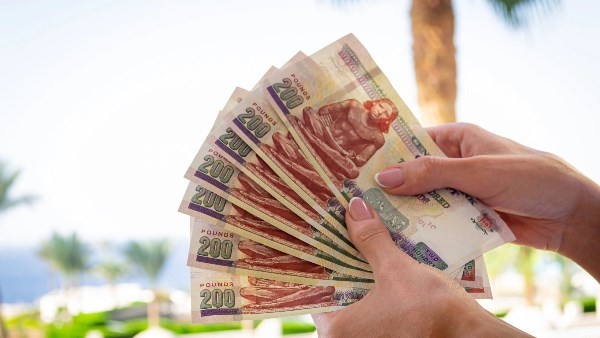 أقل راتب 10 آلاف جنيه.. طريقة التقديم على الوظائف الجديدة بمشروع الضبعة النووي