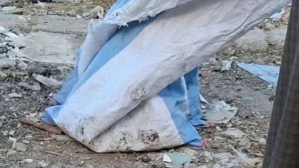 أجنّة داخل جوال في المنيا تُثير الجدل .. شهود يكشفون: السر في طبيب نساء متوفي | القصة الكاملة