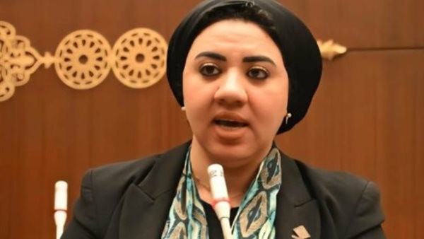 أول تعليق من النائبة أميرة صابر بعد تعرضها لهجوم بسبب مقترح التبرع بالأنسجة