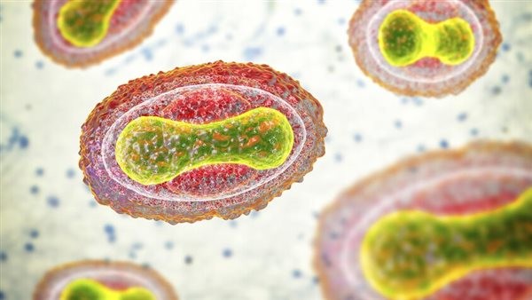 لقاحاته غير فعالة، تحذير علمي خطير من جائحة قادمة تنتمي إلى عائلة الجدري القاتل