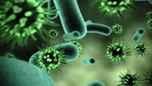 بعد "كوفيد-19".. 3 فيروسات تهدد العالم في 2026